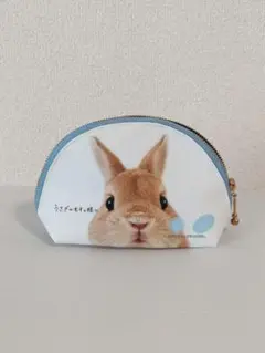 2025年最新】うさぎのモキュの人気アイテム - メルカリ