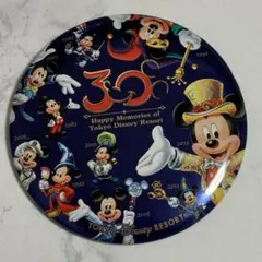 東京ディズニーリゾート　ディズニーランド　30周年　缶バッジ　ミッキー
