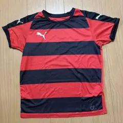 Puma 赤黒ストライプ Tシャツ 100cm以上