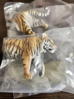 Item thumbnail for item e47cb2c9-451b-4d7e-817c-7f08afbc2486