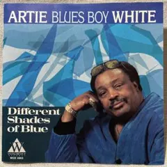 Different Shades Of Blue / Artie White