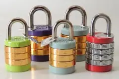 Item thumbnail for item e044930f-92b3-496f-9406-9c0956e6c35a