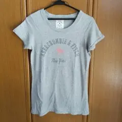 【アバクロンビー&フィッチ】Mサイズ・グレー・ Tシャツ【アバクロ】