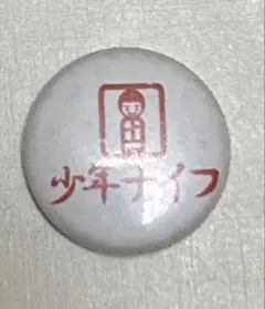 Shonen Knife 少年ナイフ　ライジングサン 缶バッジ