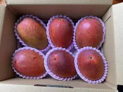 ごまにゃんこさま専用　ご自宅用完熟マンゴー 4kg