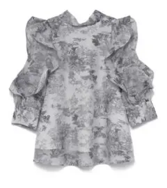 SNIDEL スナイデル　オーガンジーシースルーブラウス トワルドジュイ柄