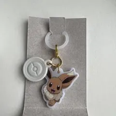 ポケモン メタルチャーム ポワルン ポケモンセンター - メルカリ