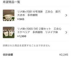 いっちー様 リクエスト 2点 まとめ商品