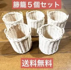 ホワイトバスケット 5個セット⭐️送料無料
