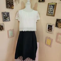 13号 サイズホワイトレース袖フレアスカート