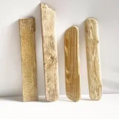 Item thumbnail for item b3c9dba6-f53d-428c-a188-179764f28d4d