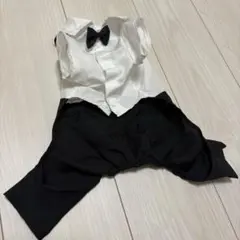 Item thumbnail for item 69ae3f53-baee-400a-a7cc-75784a3b4f8e