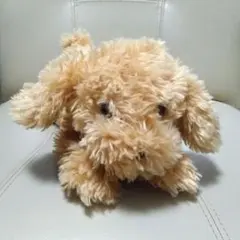 Item thumbnail for item 41a6968a-e81c-41ea-acfa-88a27a106462