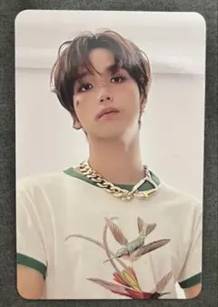 ヘチャン トレカ シーグリ MD 2025 NCT127