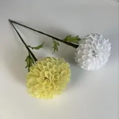 アメリカンフラワー♢ピンポン菊