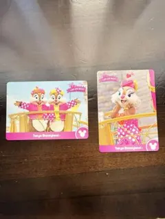 ら*在様 ミニーのファンダーランド コレクションカード 2枚セット