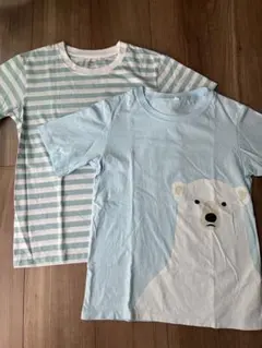 半袖Tシャツ 2枚セット ボーダー シロクマ　無印良品