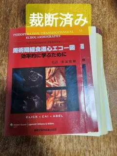 2026年最新】経食道心エコーの人気アイテム - メルカリ