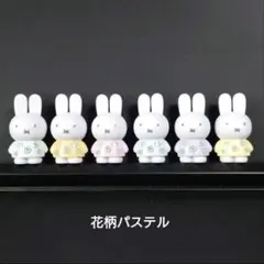さくら様専用　テトラフィビッツ　ミッフィー　花柄パステル　６種