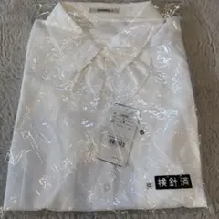 Item thumbnail for item 57057f6e-f048-4a62-89c1-338b809d0c5b