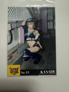 2026年最新】バーレスク チェキの人気アイテム - メルカリ