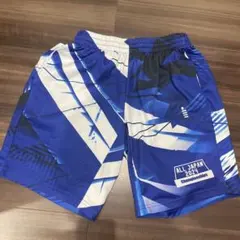 ゴーセンALL JAPAN 2024 ハーフパンツ S