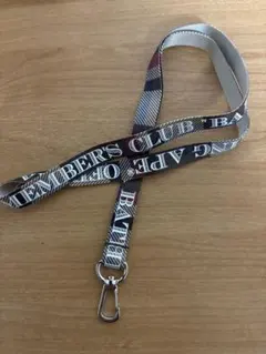 Item thumbnail for item 6c6c07db-4ca8-4430-a315-c367fc8327f8