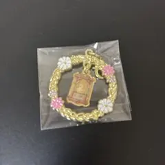 ディズニーストア　ラプンツェル　シークレットキーチャーム　スナグリーダックリング