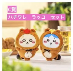 たぬきだもん　ラッコ　ハチワレ　セット