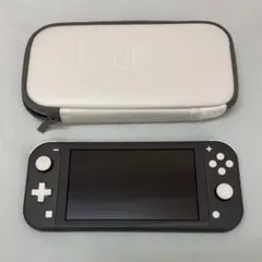Nintendo Switch Lite グレー 本体/ケース/充電器付き