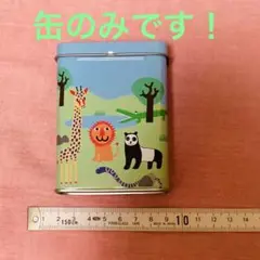 フライングタイガーの小物入れ缶のみ☆flying tiger