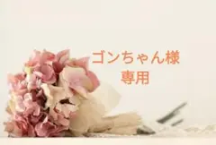 ゴンちゃん様 リクエスト 2点 まとめ商品