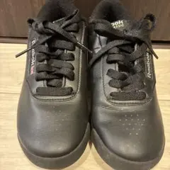 Item thumbnail for item 08a2f964-35e1-49e3-bddf-9c47c7712ede