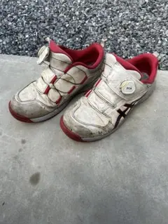 Item thumbnail for item e959d9f7-c96b-4595-9433-49deced9473e