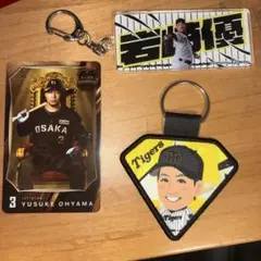 阪神タイガース 小野泰己 28番 ユニフォーム グッズセット 阪神 タイガース 小野泰己選手 グッズ まとめ売り (バラ売り可能