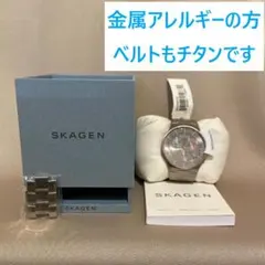 【新品★ALLチタン】SKAGEN スカーゲン SKW6076 クロノグラフのサムネイル