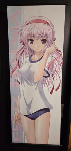 月姫、MELTY BLOOD アニメイト限定特典、A4アクリルパネル - メルカリ