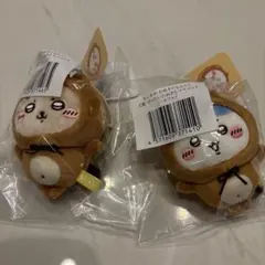 たぬきだもんくじ　ハチワレ　ラッコ