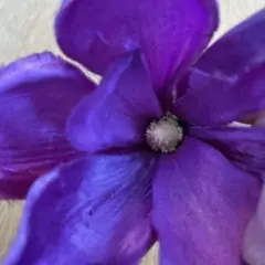 Item thumbnail for item 8603991d-39b8-4814-a044-718aaaff00c7