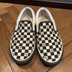 t*s様 standard californiavansスタンダードカリフォルニのサムネイル
