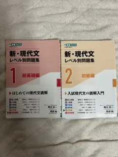新・現代文 レベル別問題集 1・2 セット