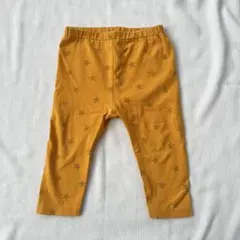 Item thumbnail for item bbd7c681-63de-424d-9941-e1fc62bac97c