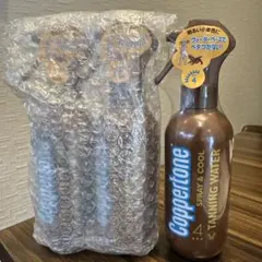 Coppertone サンオイル 2本セット - メルカリ