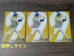 プロ野球 柳田悠岐 プロ野球チップス スターカード 箔押しサイン まとめ売り