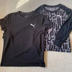 プーマ　Tシャツ　2枚セット