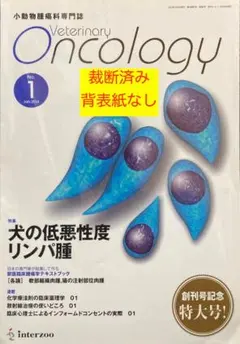 Veterinary Oncology　No.1　創刊号　裁断済み　背表紙なし