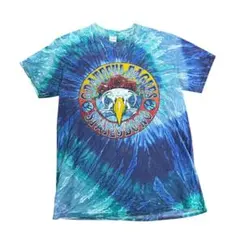 プリントTシャツ　タイダイ柄　鷲　GILDAN製 スカル　ブルー　M 古着8#b