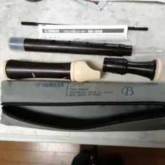 Item thumbnail for item 67e83624-8f81-4898-9916-23a5197a59e0