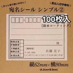 【防水加工】宛名シール シンプル② Lサイズ　RS-3