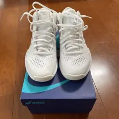 アシックス GELHOOP V10 23.0cm ホワイト×シルバー